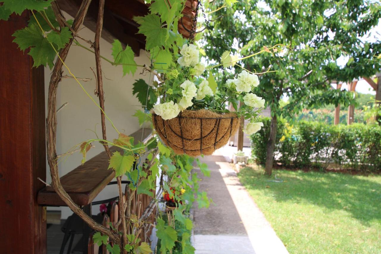 Apartments Green Garden Labinci Экстерьер фото